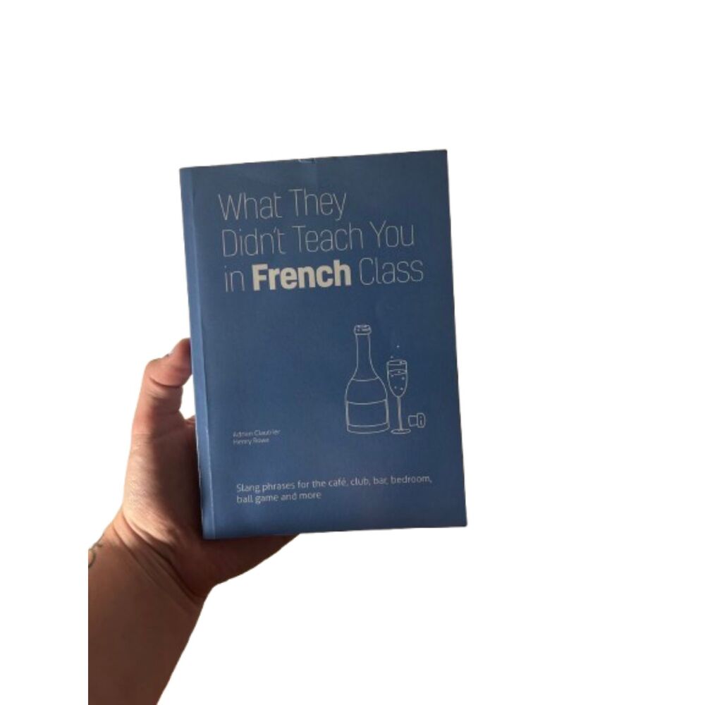 What They Didn’t Teach You in French Class Paperback French Slang Guide